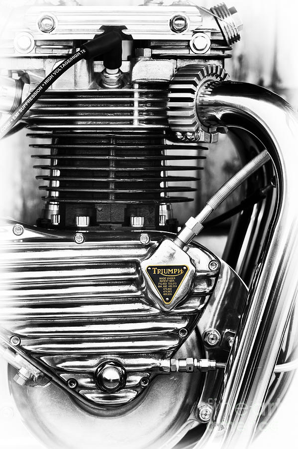 Triumph Triton Engine Photograph by Tim Gainey