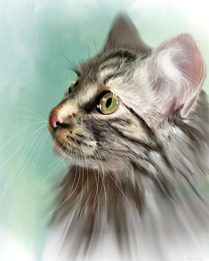 Cat Digital Art - Trixie the Maine Coon Cat by Angela Murdock