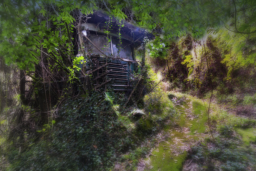 Trolley Bus Into The Jungle Photograph by Enrico Pelos