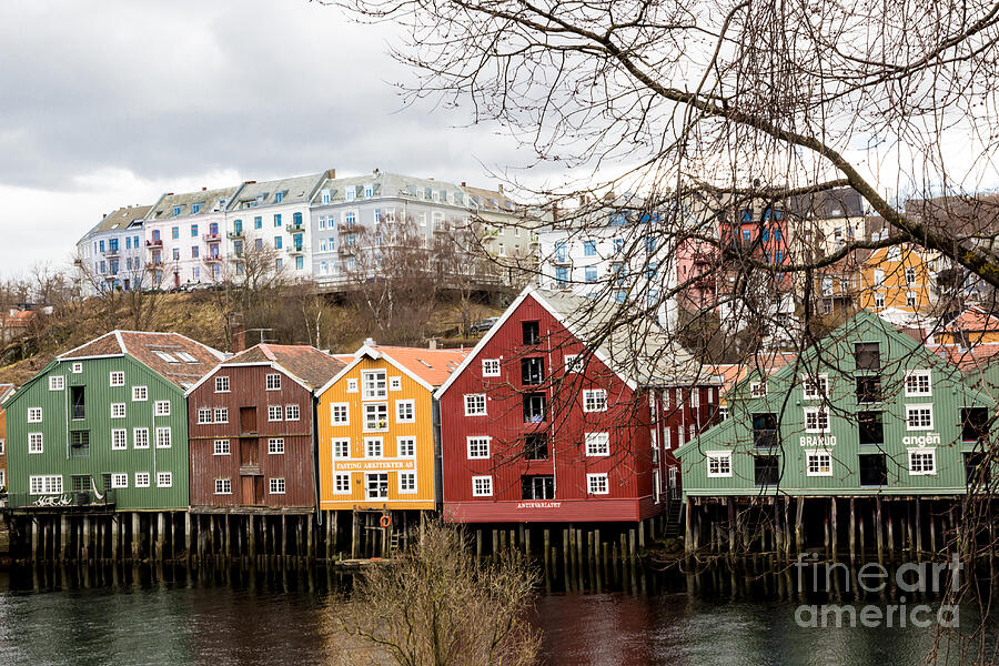 Trondheim Colors Photograph by Suzanne Luft