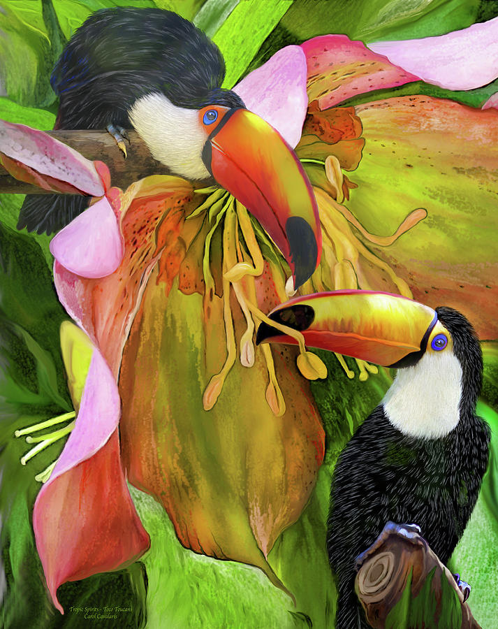 Tropic Spirits - Toco Toucans Mixed Media by Carol Cavalaris