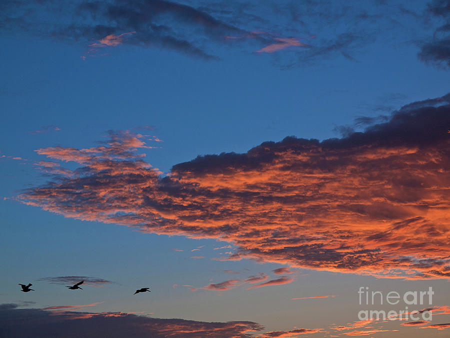 Sunset Photograph - Tropic Sunrise - 5 by Allan  Hughes