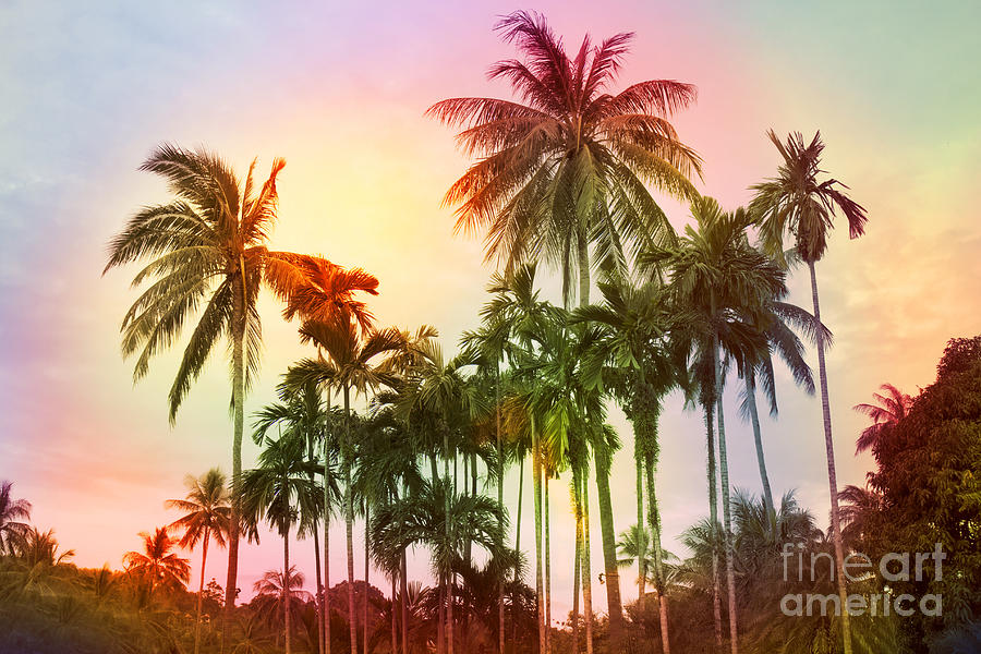 Summer Photograph - Tropical 11 by Mark Ashkenazi