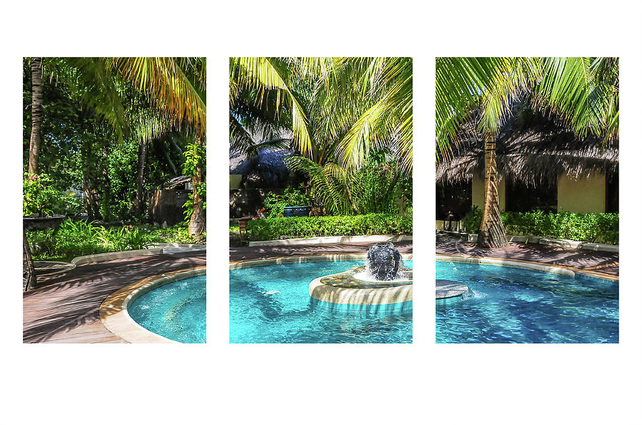 Tropical Ambiance Triptych Photograph by Jenny Rainbow