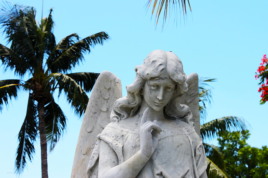Tropical Angel With Tear Photograph by Susan Vineyard