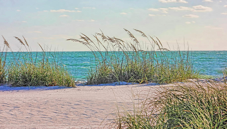 Tropical Beach And Sea Oats Photograph by HH Photography of Florida