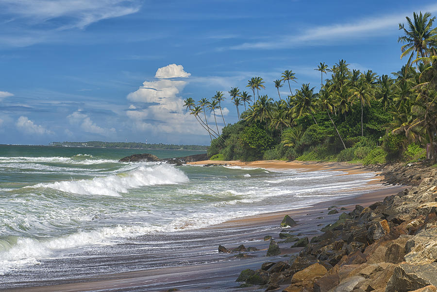 Tropical Beach in Matara, Sri Lanka Photograph by Ivan Batinic