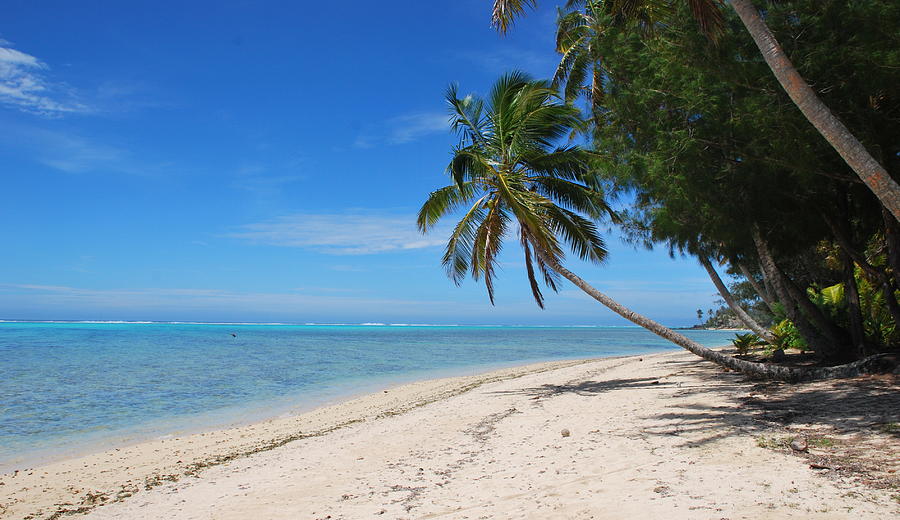 Tropical Beach Photograph by Phil Conroy | Fine Art America