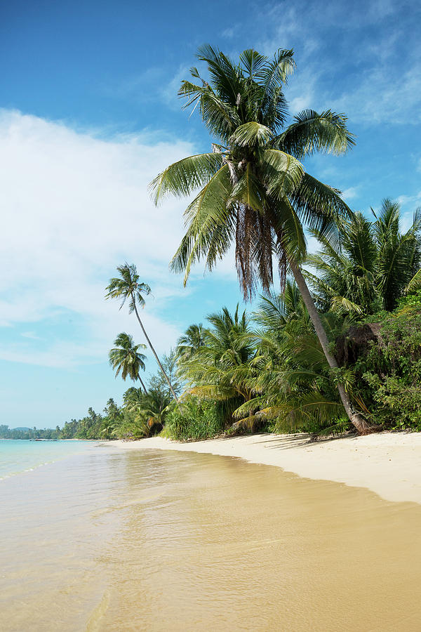 Tropical beach Photograph by Pieter Tel - Fine Art America