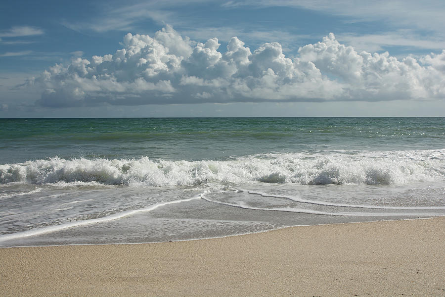 Tropical beach Photograph by Zina Stromberg - Fine Art America