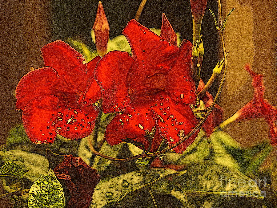 Tropical Beauty - Red Flowers April Showers Photograph by Miriam Danar