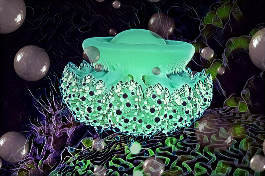 Tropical Coral Reef Jellyfish Digital Art by Artful Oasis