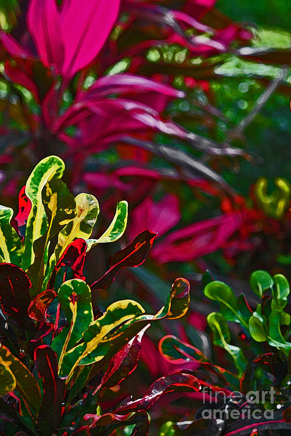Nature Photograph - Tropical Crotons and Ti Plant by Barbara Knowles