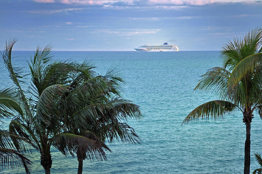 Tropical Cruise Photograph by Frank Mari