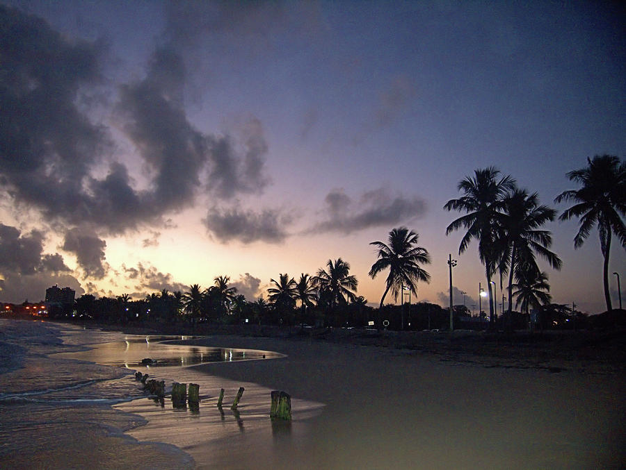 Tropical Dawn Photograph by Newwwman