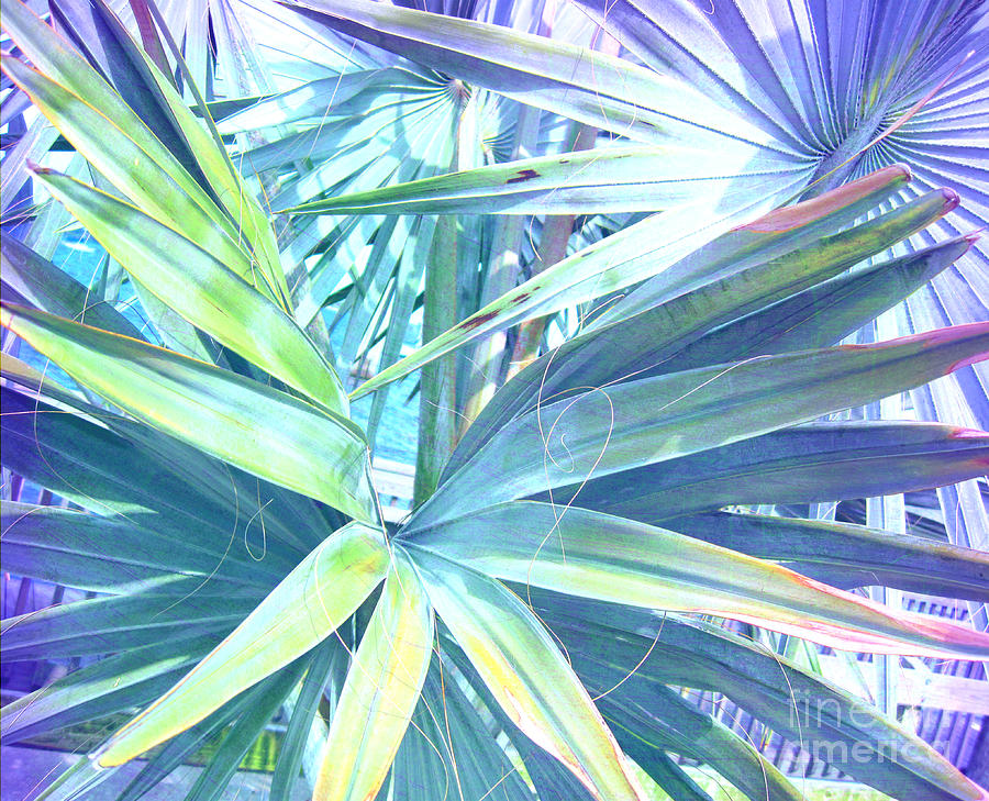 Tropical Dreams In Pastel Purple-blue Photograph
