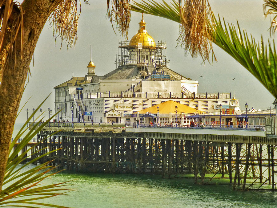 Tropical Eastbourne Photograph by Connie Handscomb