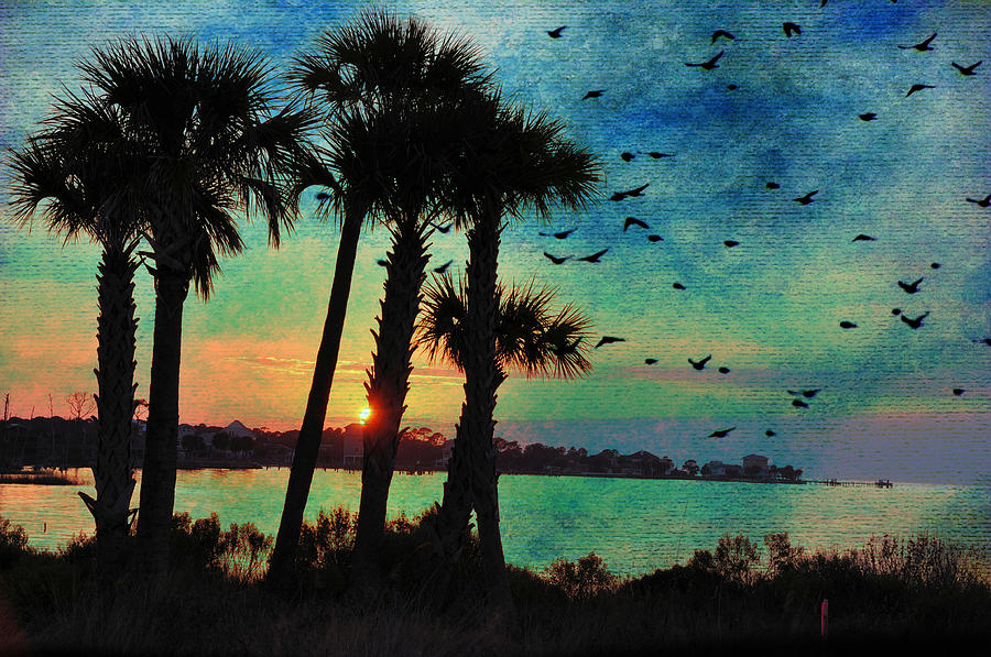 Tropical Evening Digital Art by Jan Amiss Photography