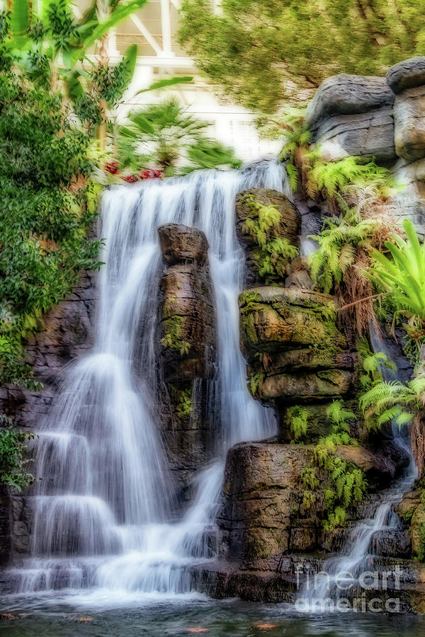 Tropical Falls Photograph by Gene Healy - Fine Art America