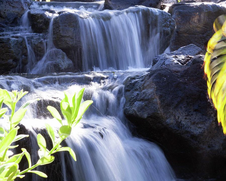 Tropical Falls Photograph by Tom Taylor | Fine Art America