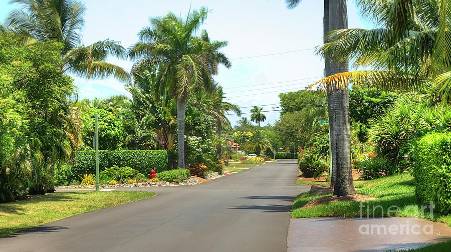 Tropical Feel Residential Street Photograph by Ules Barnwell