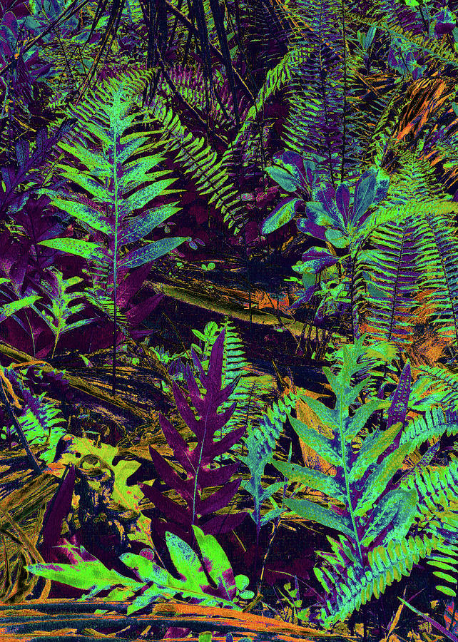 Tropical Ferns Digital Art by Kerri Ligatich