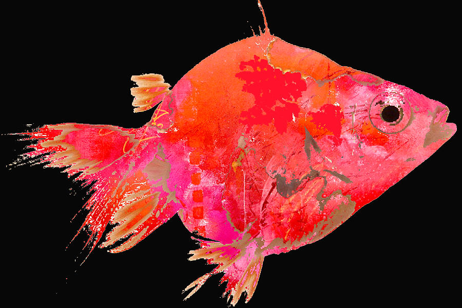 Tropical Fish on Black Digital Art by Nancy Merkle