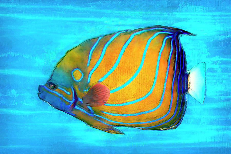 Fish Painting - Tropical Fish Painted by Jack Zulli