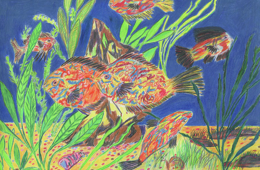 Detroit Drawing - Tropical Fishes  by Merrill Mitchell