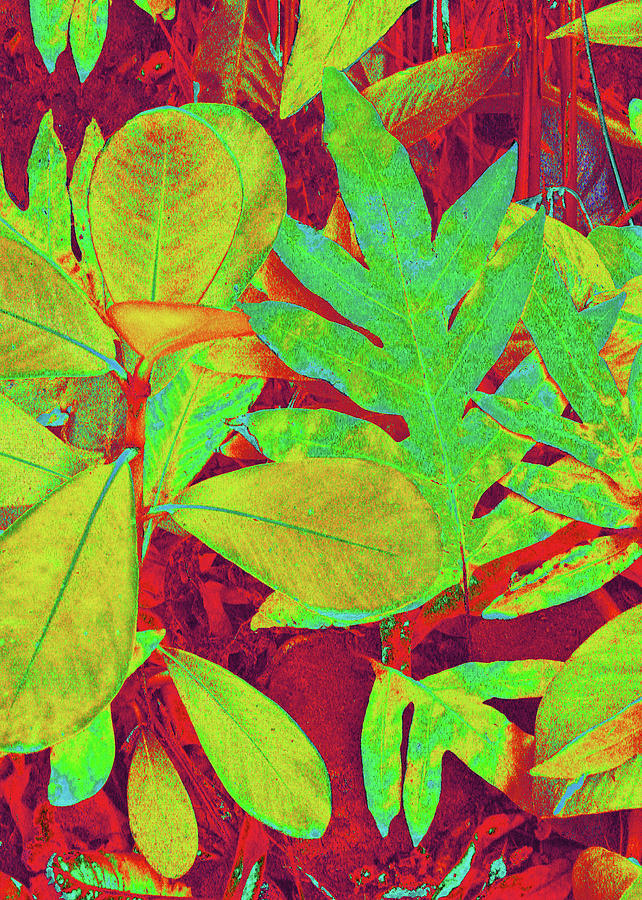 Tropical Foliage 1 Digital Art by Kerri Ligatich