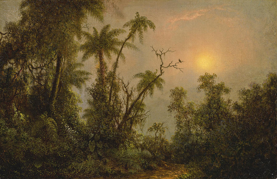 Tropical Forest Scene Painting by Martin Johnson Heade
