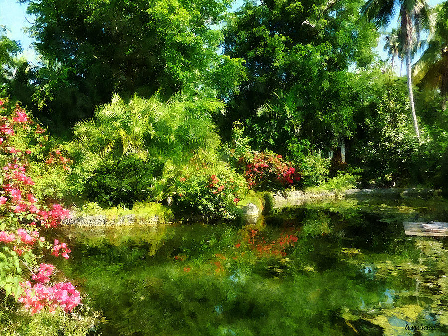 Garden Photograph - Tropical Garden by Lake by Susan Savad