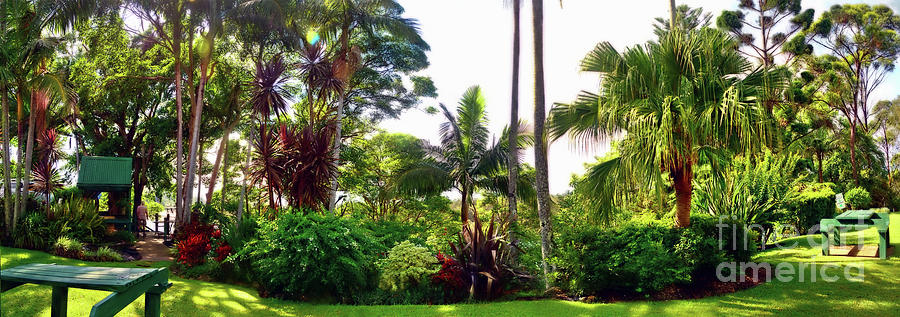 Tropical Gardens Panorama by Kaye Menner Photograph by Kaye Menner