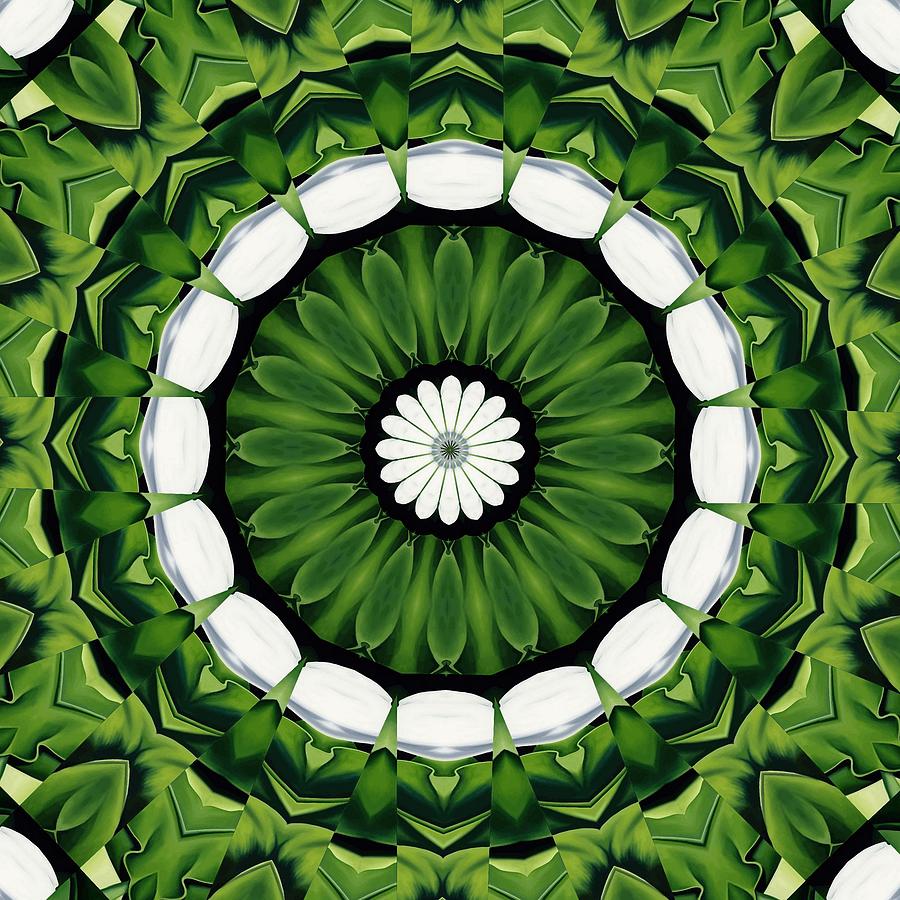 Tropical Green and White Geometric Kaleidoscope Digital Art by Taiche Acrylic Art