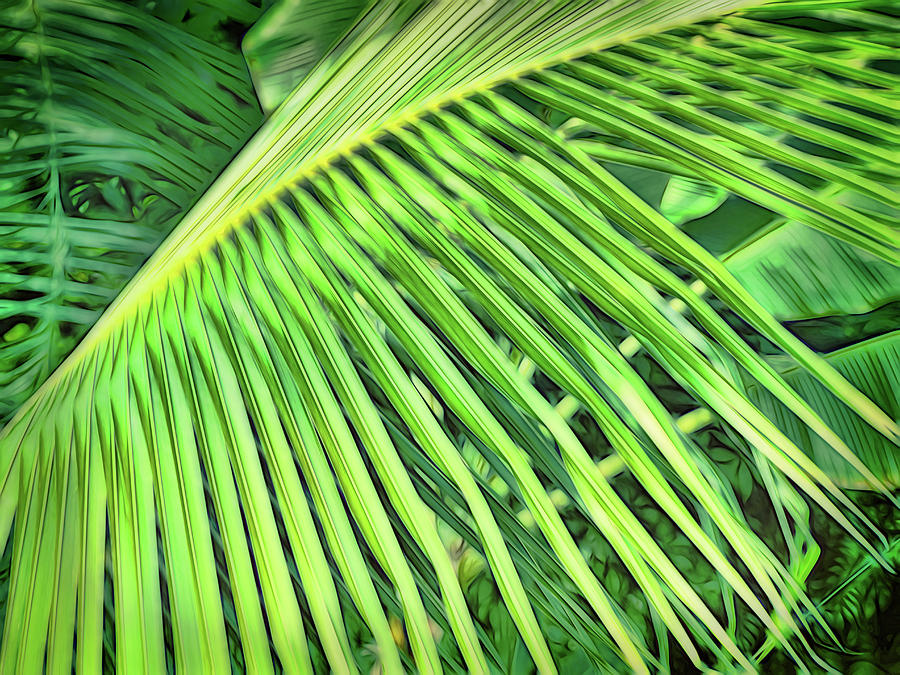 Tropical Green Photograph by Ann Powell