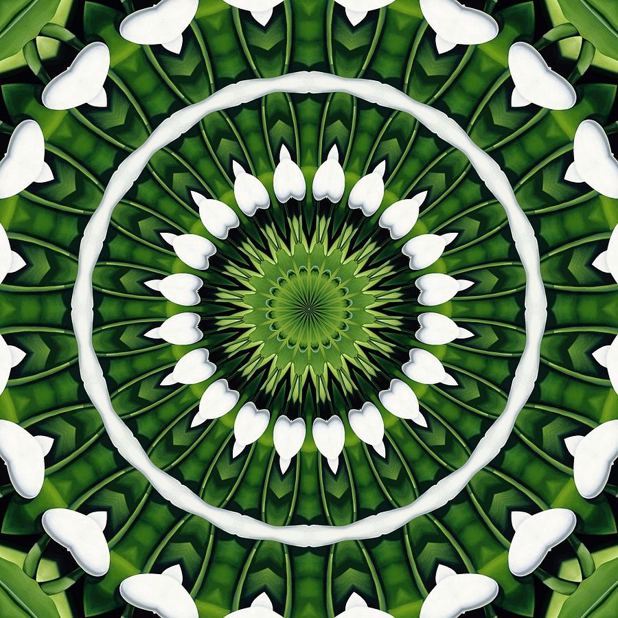 Tropical Green Mandala Digital Art by Taiche Acrylic Art