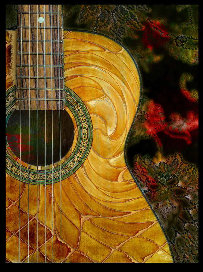 Tropical Guitar Photograph by John Anderson