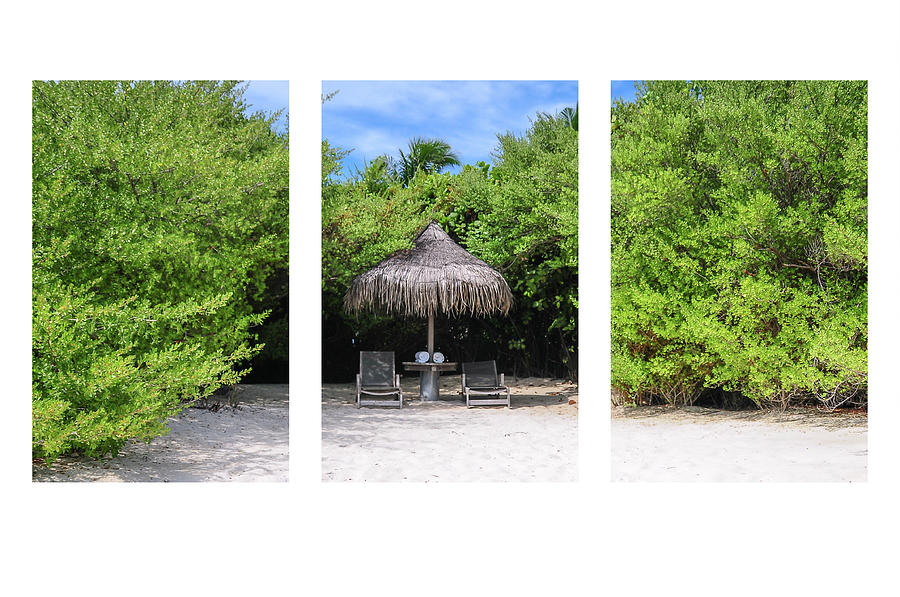 Tropical Hideaway Triptych Photograph by Jenny Rainbow