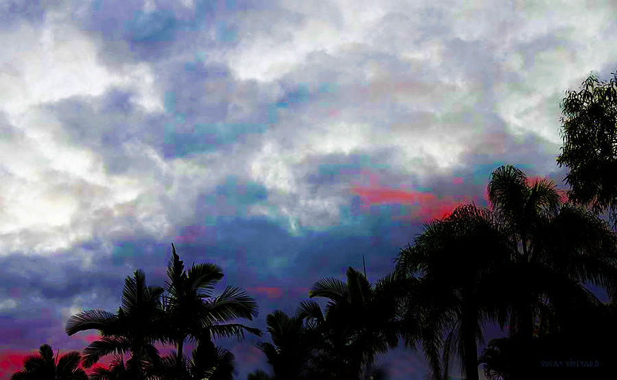 Tropical Hue Photograph by Susan Vineyard