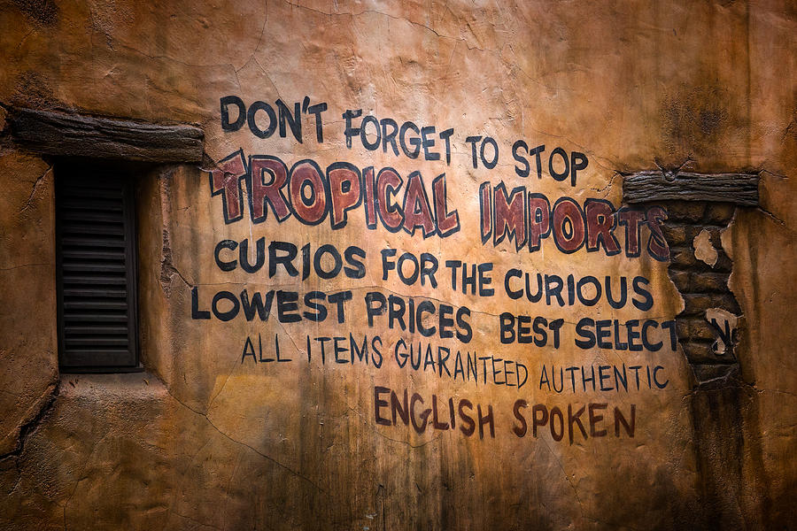 Tropical Imports Photograph by Mark Andrew Thomas