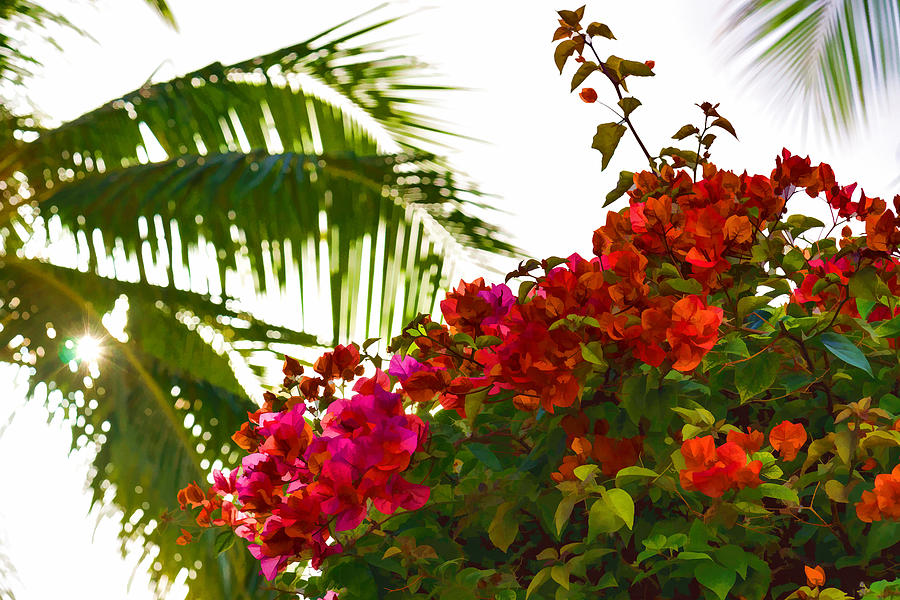 Tropical Impressions - Bougainvilleas and Palm Fronds in the Sky Painting by Georgia Mizuleva