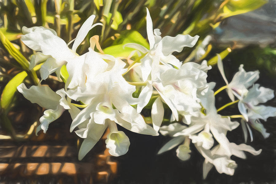 Tropical Impressions - Dreamy White Orchids Digital Art by Georgia Mizuleva