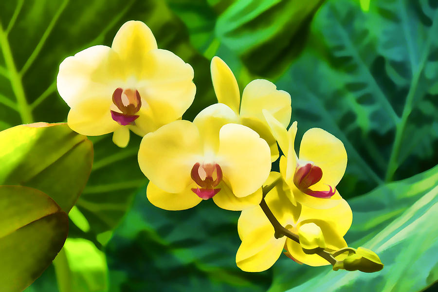 Tropical Impressions - Golden Yellow Orchids Painting by Georgia Mizuleva
