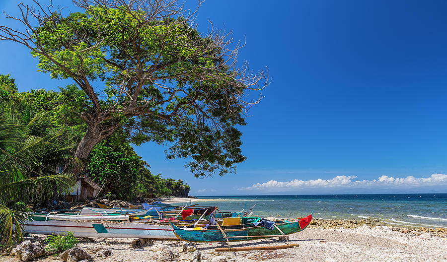 Tropical Island Panorama Paradise Photograph by James BO Insogna