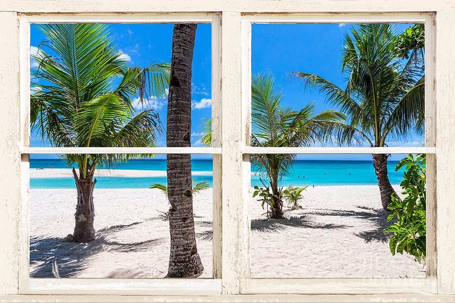 Tropical Island Rustic Window View Photograph by James BO Insogna