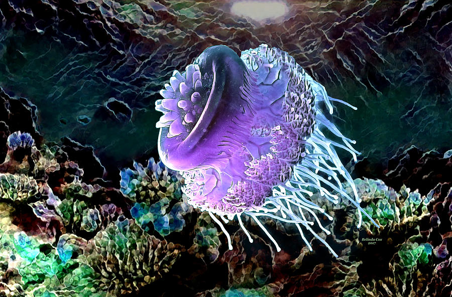Tropical Jellyfish Digital Art by Artful Oasis