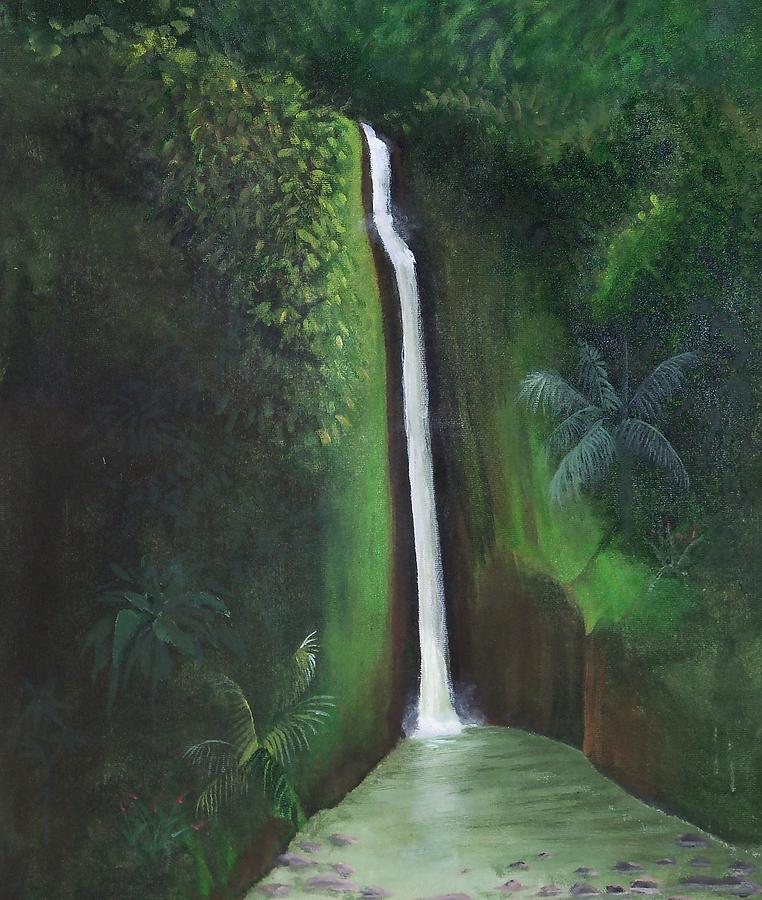 tropical rainforests waterfalls