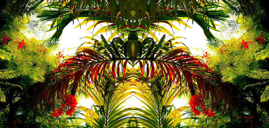Tropical Kaleidoscope Photograph by Susan Vineyard