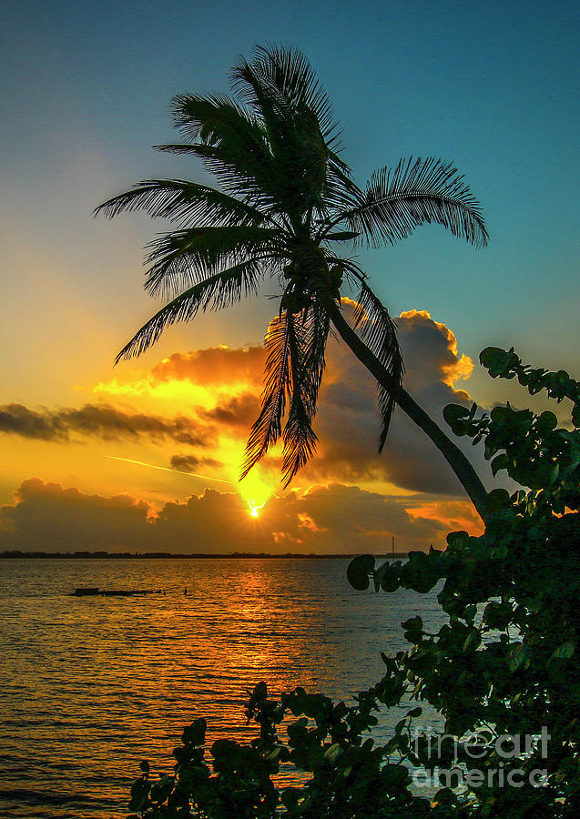 Tropical Lagoon Sunrise Photograph by Tom Claud