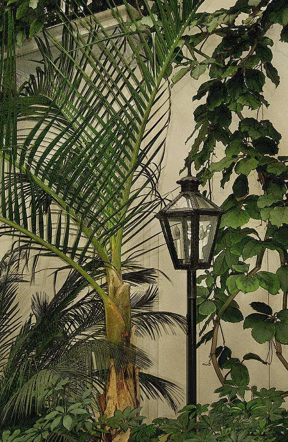 Tropical Lamppost Photograph by Gordon Beck